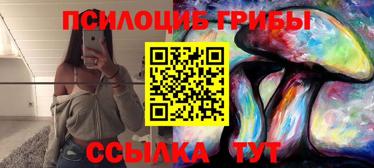 Екатеринбург  Псилоцибиновые грибы Psilocybe  Вход с VPN 